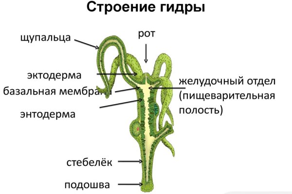 Ссылка кракен магазин