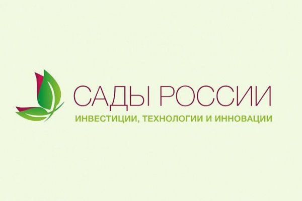 Каталог сайтов даркнет