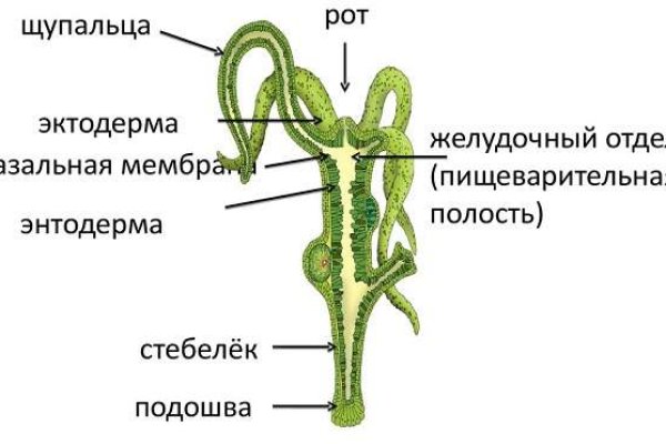 Кракен маркет плейс