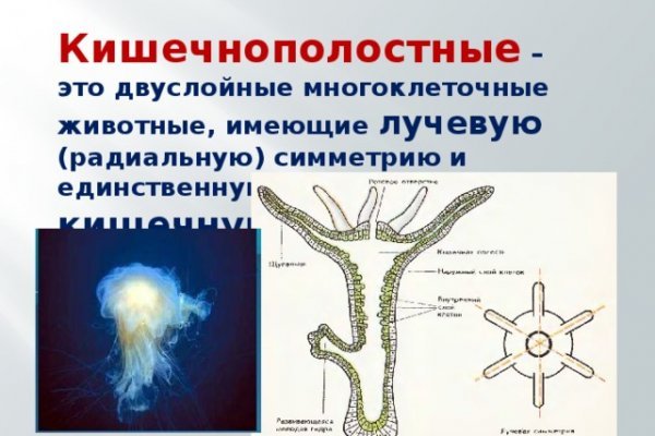 Как пополнять кракен тор